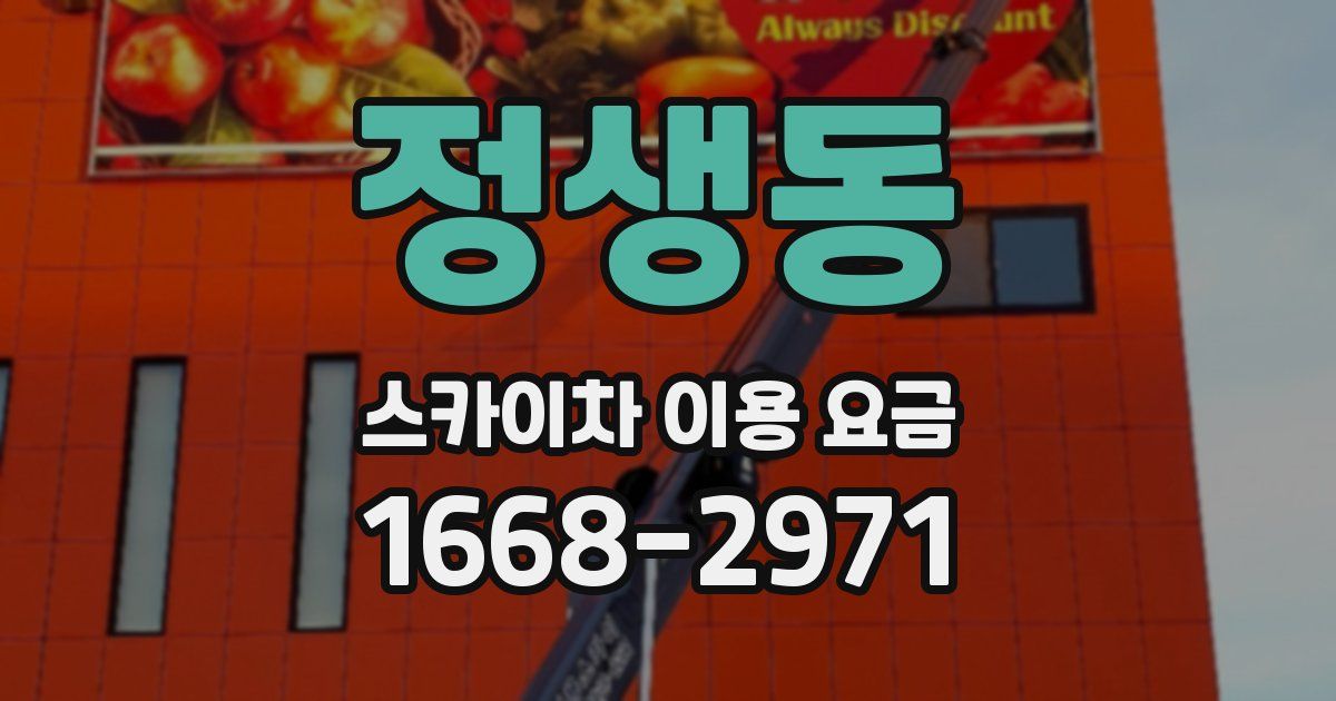 정생동 스카이차 이용 요금