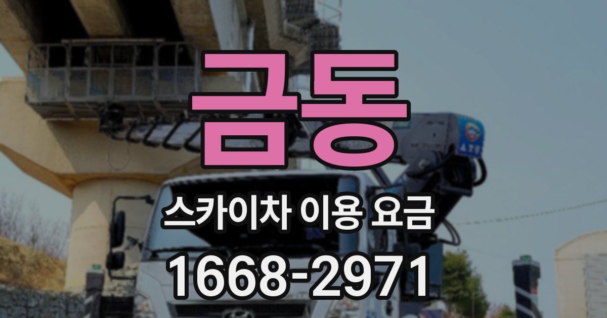 금동 스카이차 이용 요금