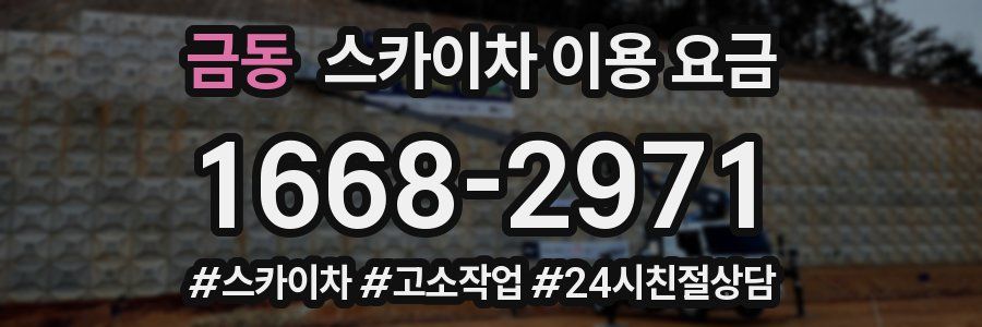 금동 스카이차 이용 요금