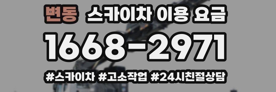 변동 스카이차 이용 요금