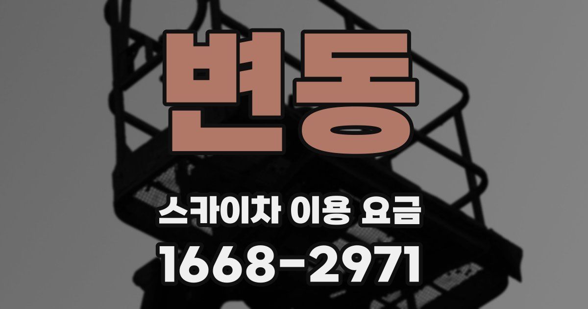 변동 스카이차 이용 요금