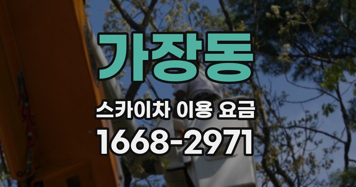 가장동 스카이차 이용 요금