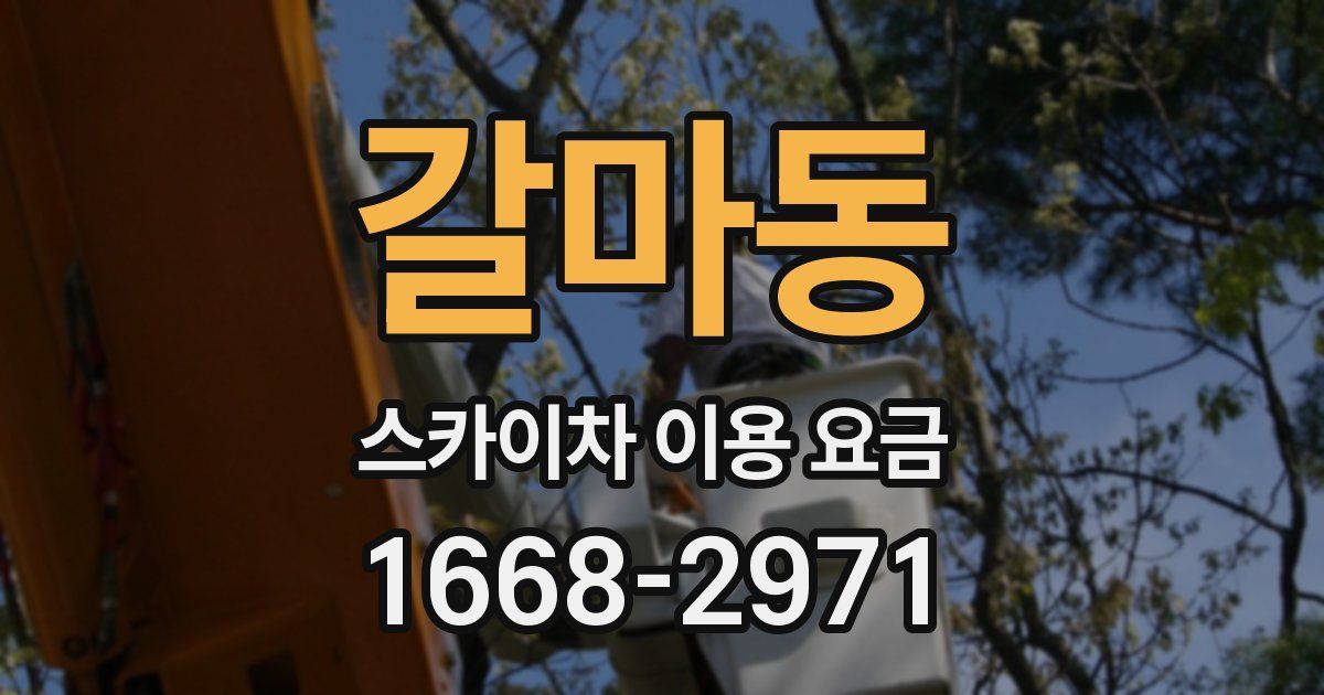 갈마동 스카이차 이용 요금