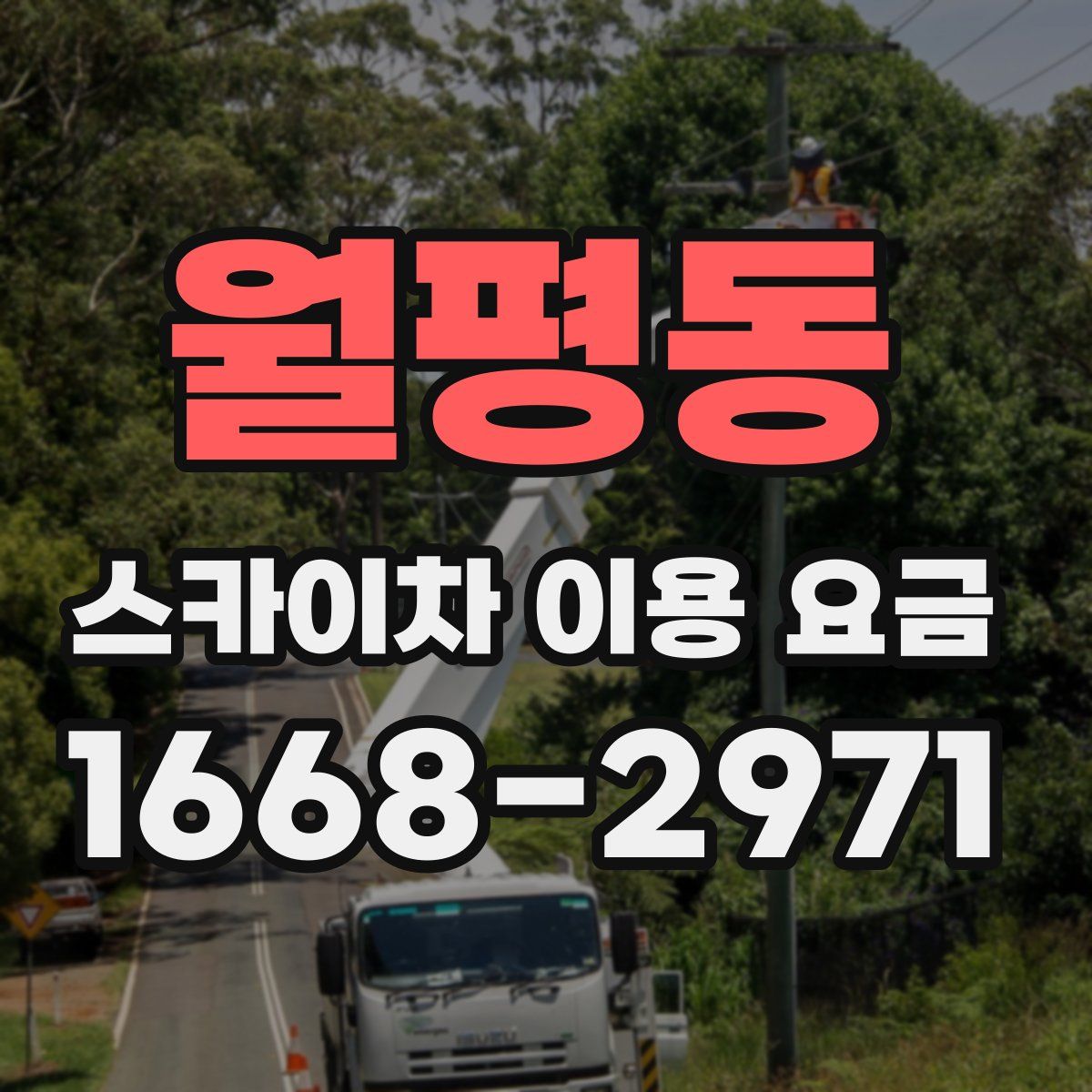 월평동 스카이차 이용 요금