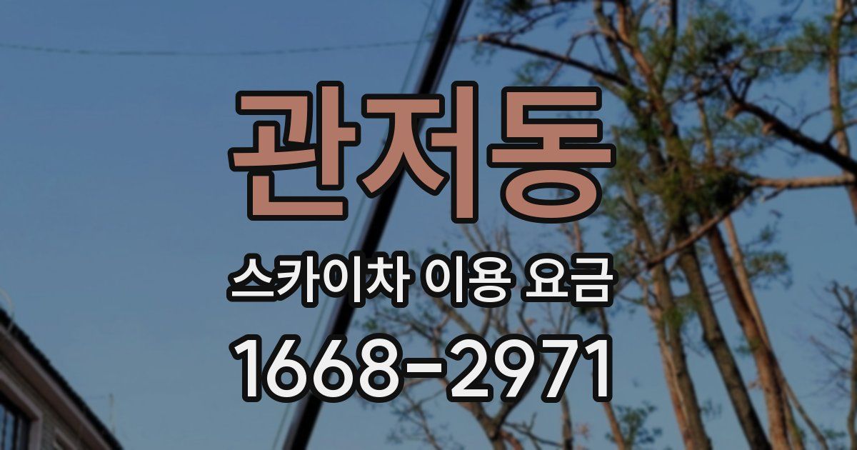 관저동 스카이차 이용 요금