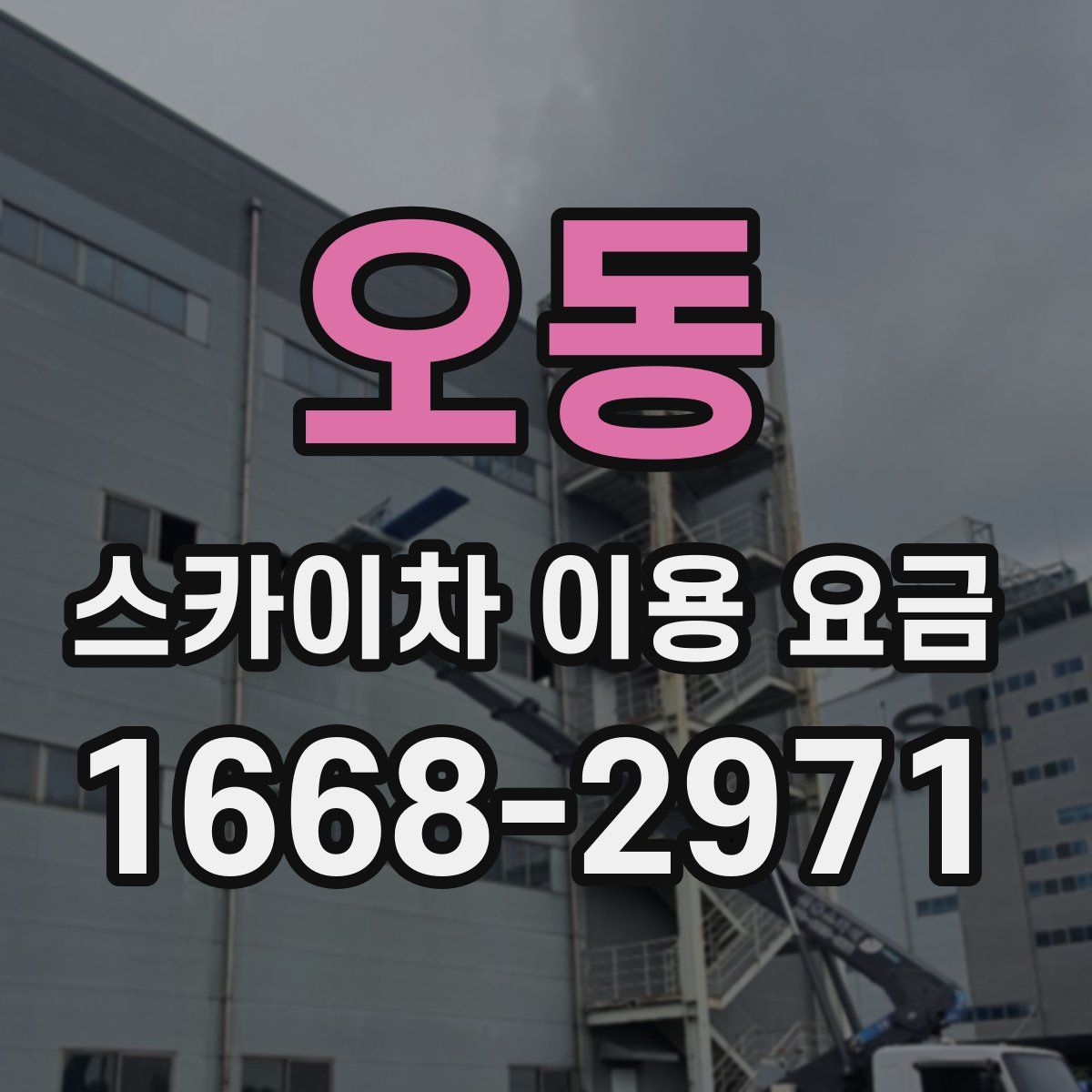 오동 스카이차 이용 요금