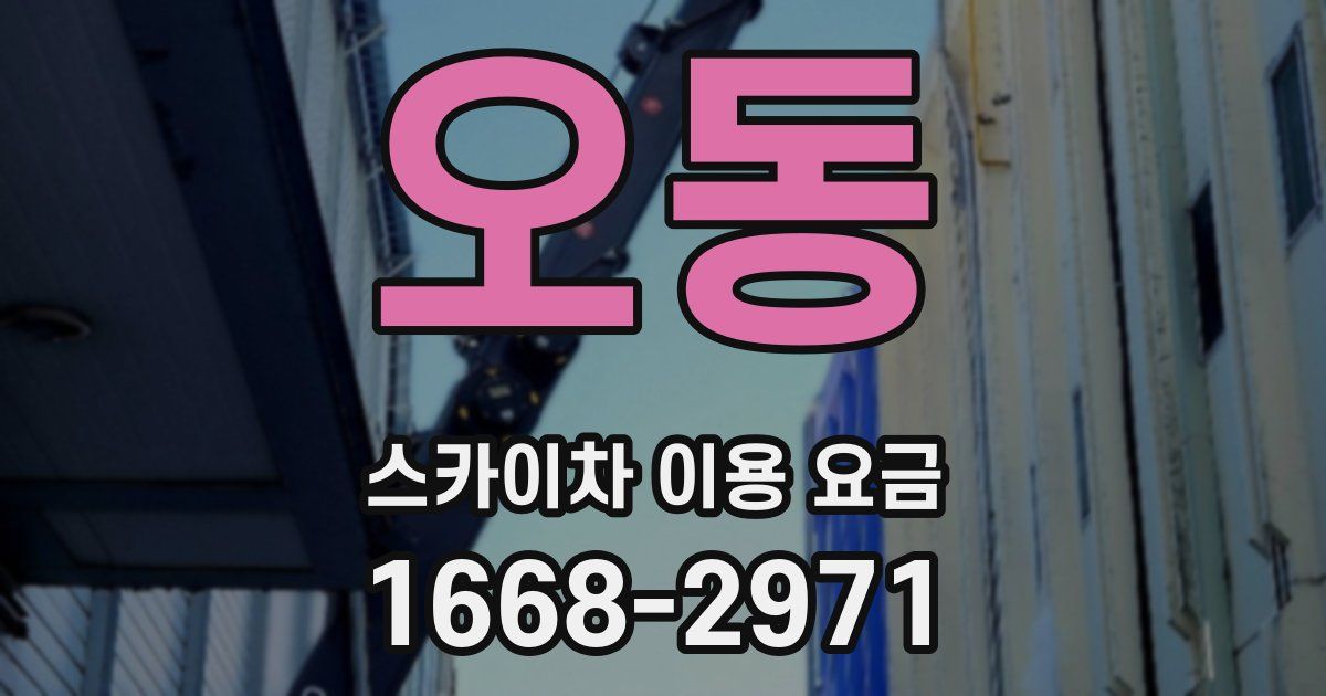 오동 스카이차 이용 요금