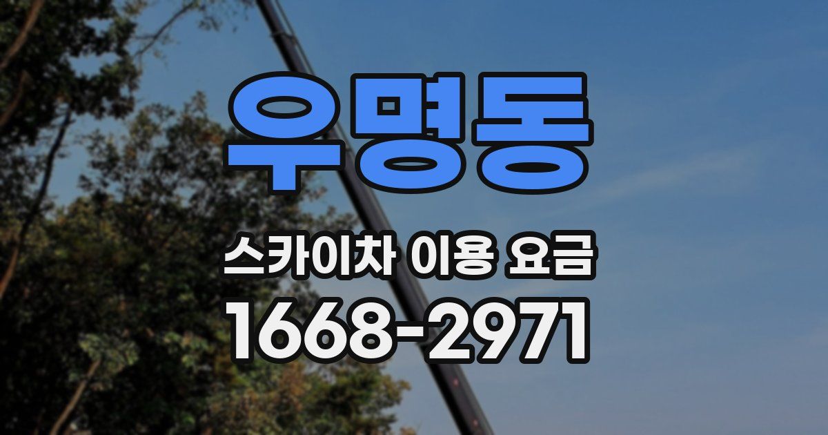 우명동 스카이차 이용 요금