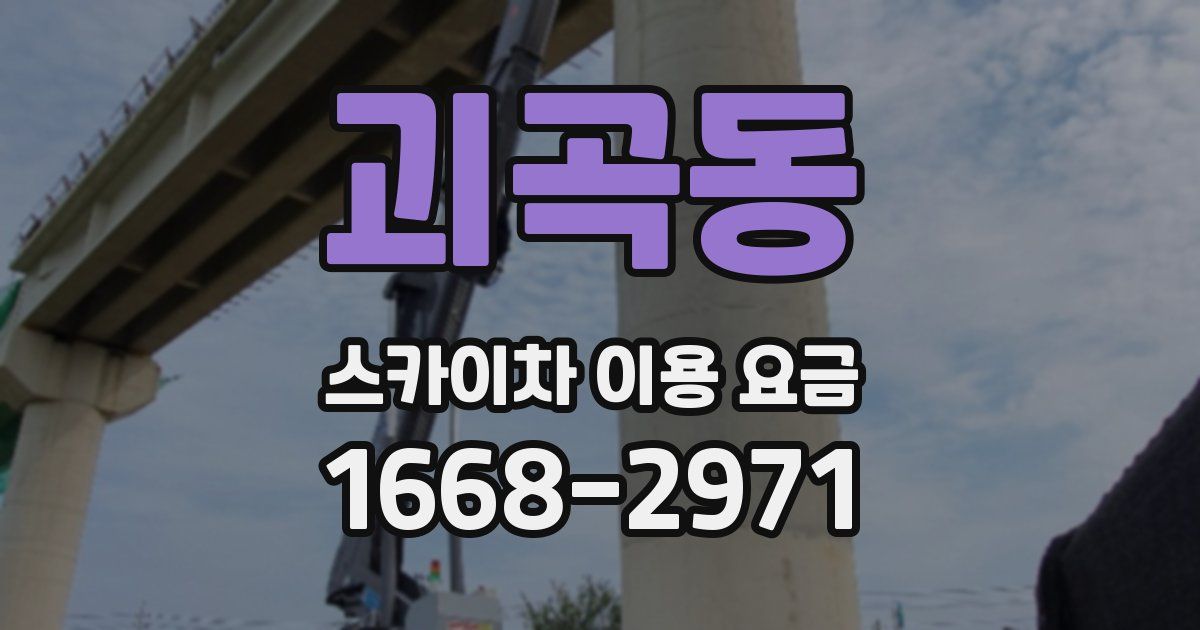 괴곡동 스카이차 이용 요금