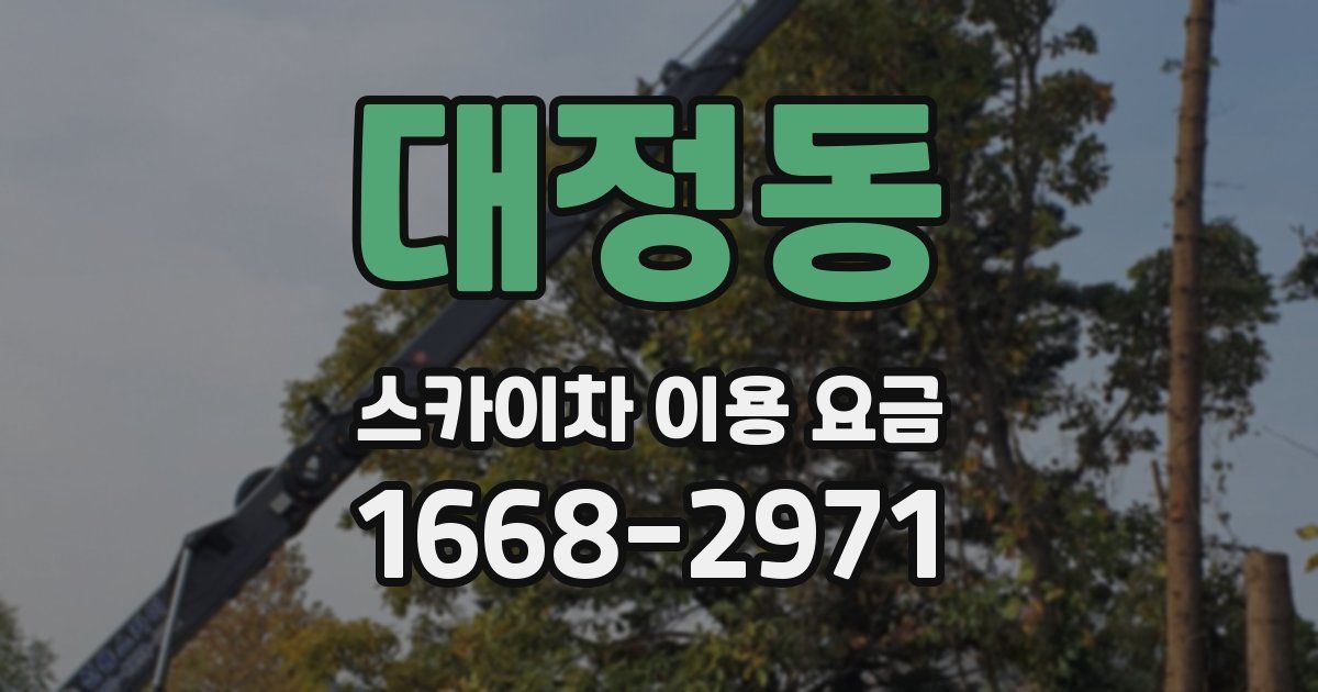 대정동 스카이차 이용 요금