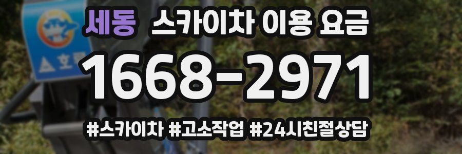 세동 스카이차 이용 요금