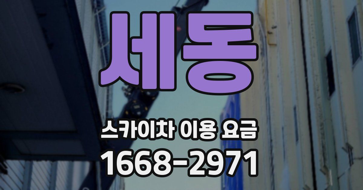 세동 스카이차 이용 요금