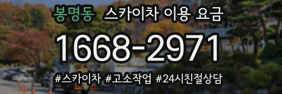 봉명동 스카이차 이용 요금