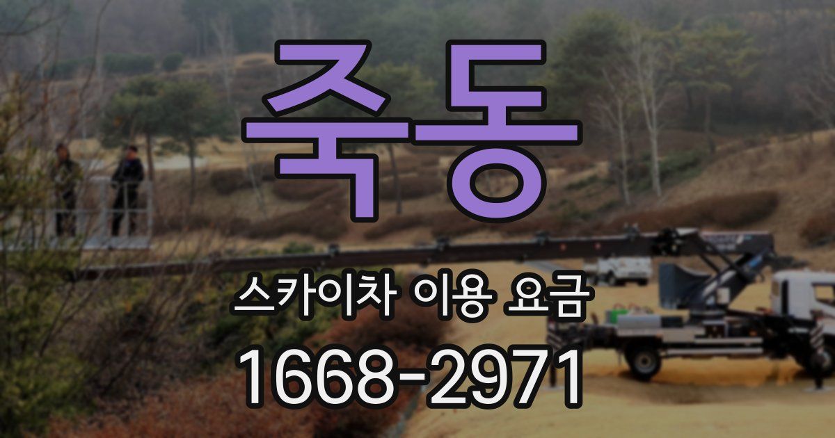 죽동 스카이차 이용 요금