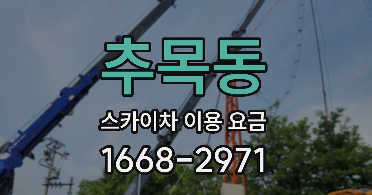 추목동 스카이차 이용 요금