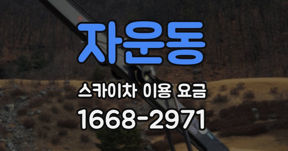 자운동 스카이차 이용 요금