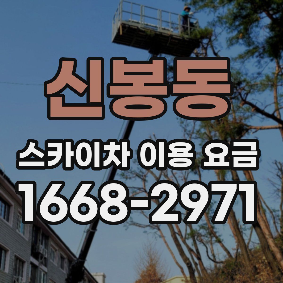 신봉동 스카이차 이용 요금