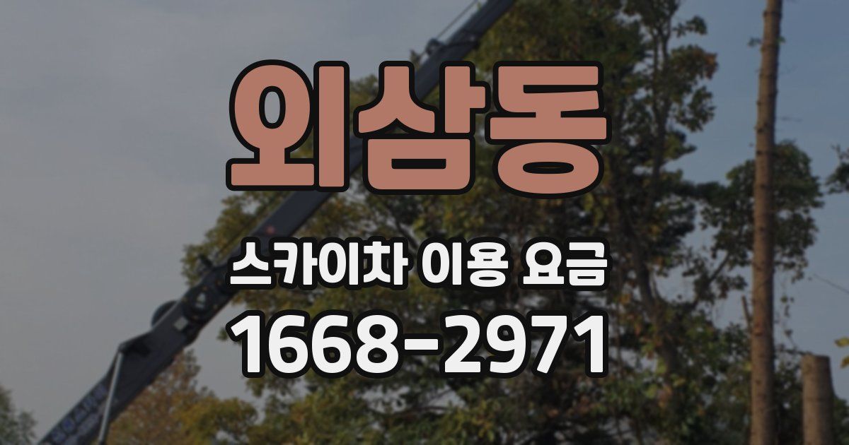 외삼동 스카이차 이용 요금
