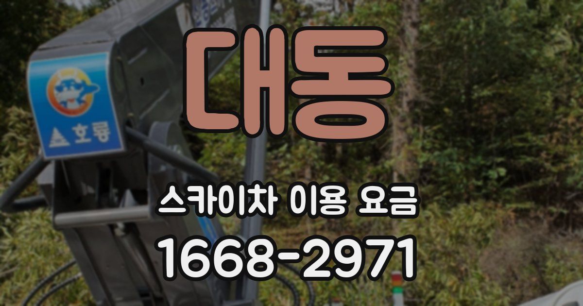 대동 스카이차 이용 요금