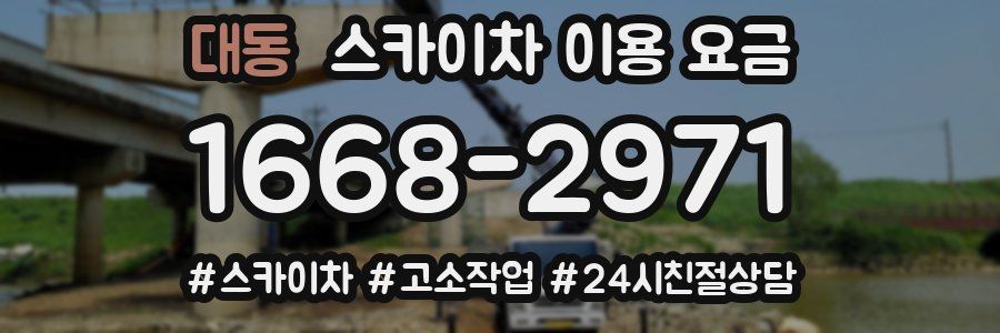 대동 스카이차 이용 요금