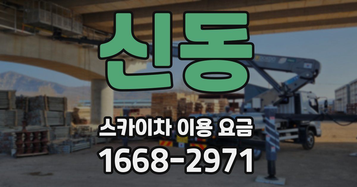 신동 스카이차 이용 요금