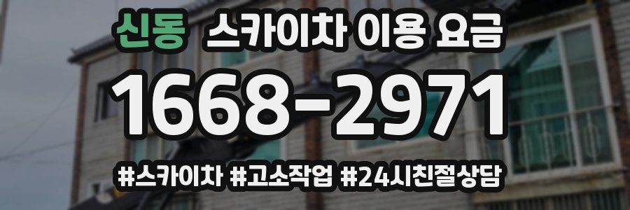 신동 스카이차 이용 요금