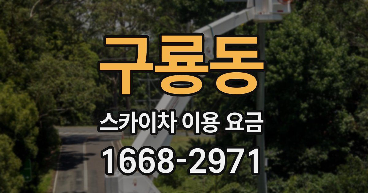 구룡동 스카이차 이용 요금