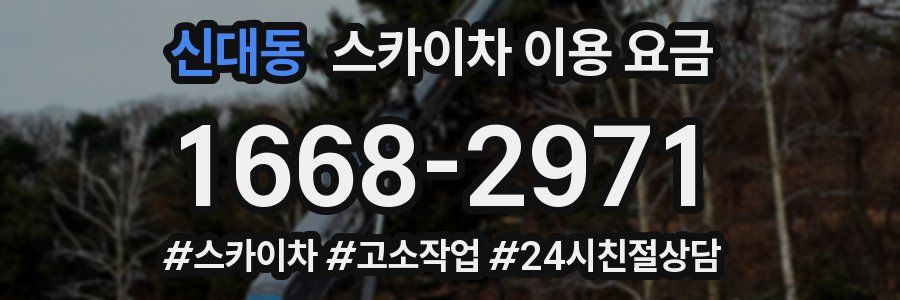 신대동 스카이차 이용 요금