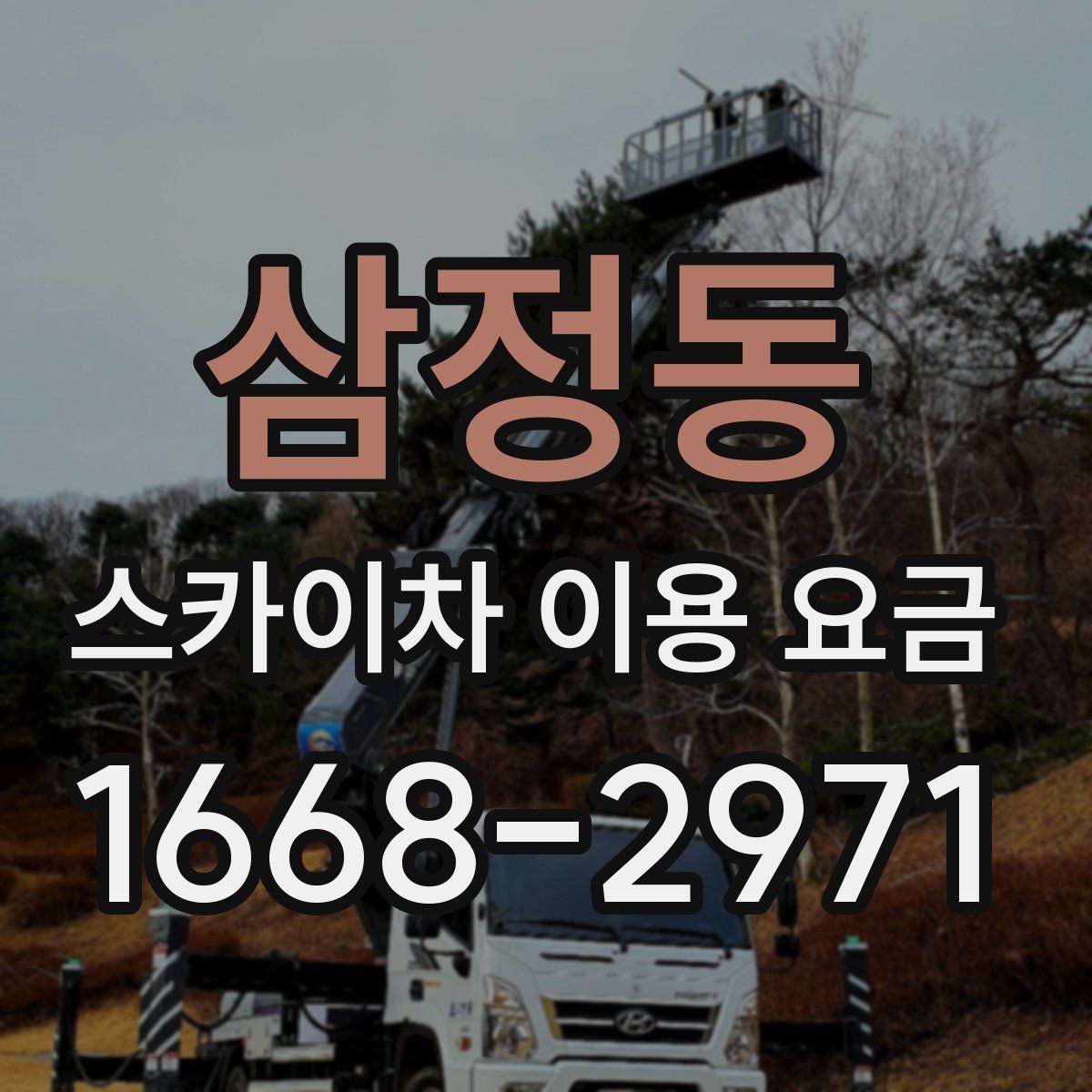 삼정동 스카이차 이용 요금