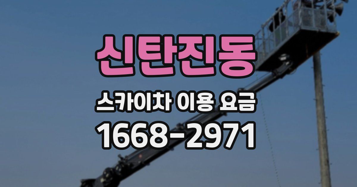 신탄진동 스카이차 이용 요금