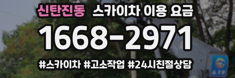 신탄진동 스카이차 이용 요금