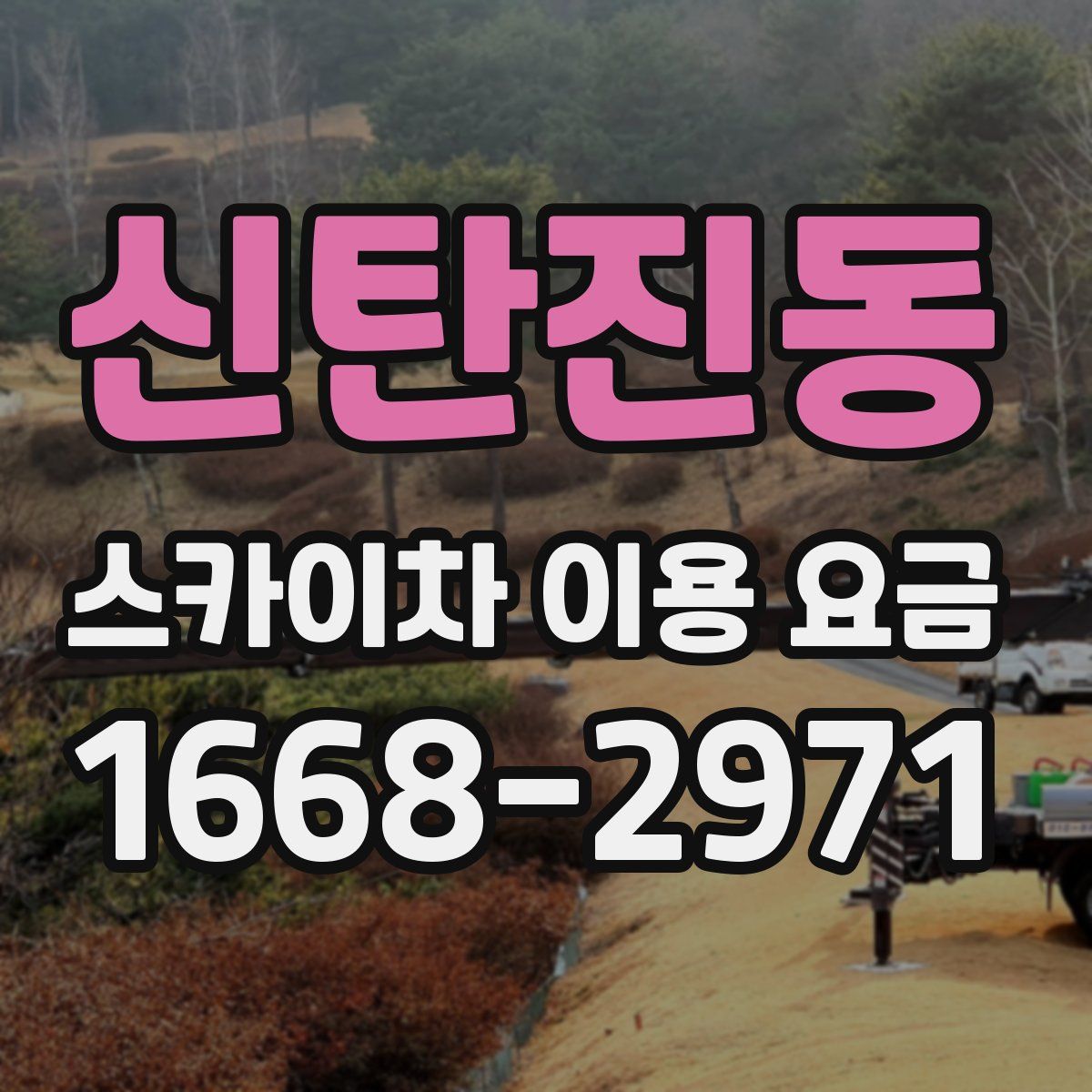 신탄진동 스카이차 이용 요금