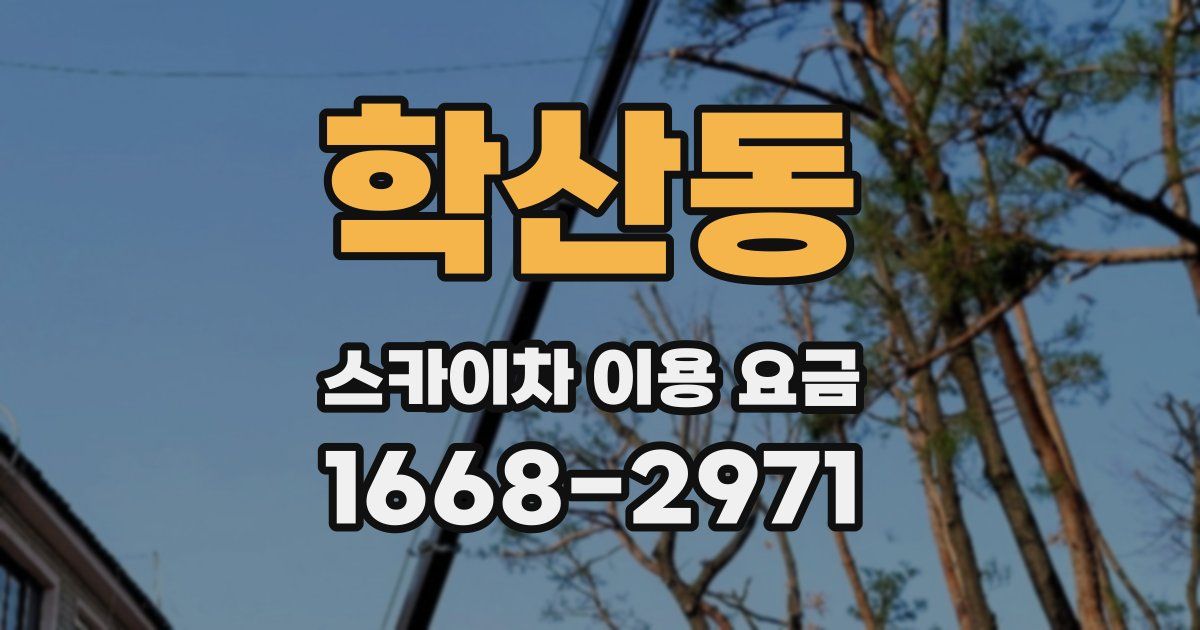 학산동 스카이차 이용 요금