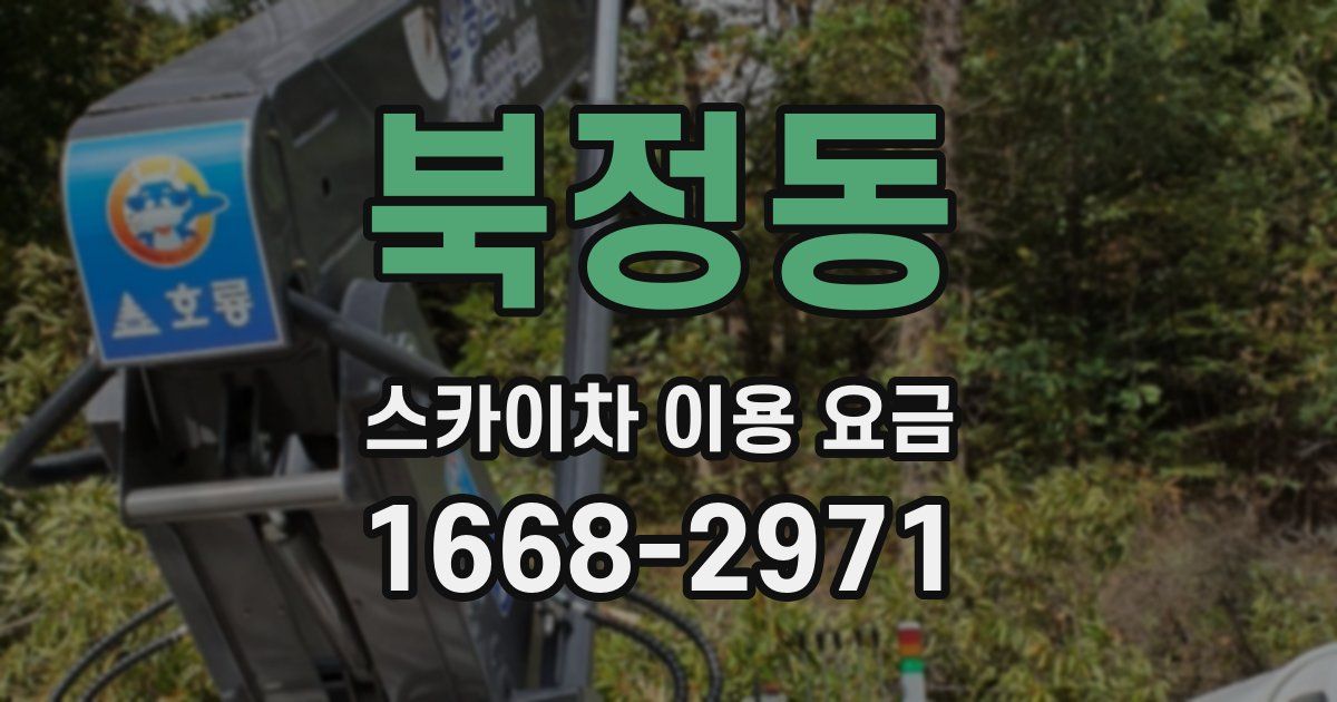 북정동 스카이차 이용 요금