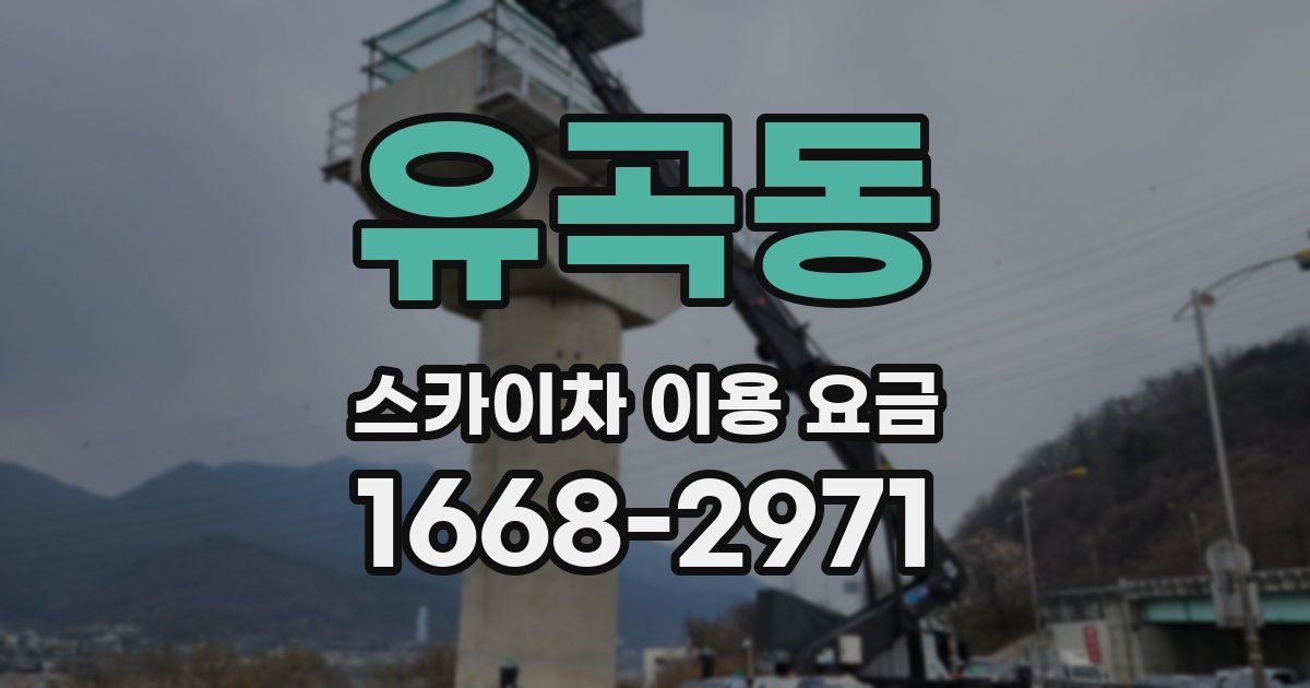 유곡동 스카이차 이용 요금