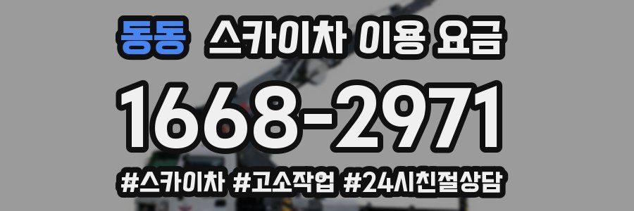 동동 스카이차 이용 요금