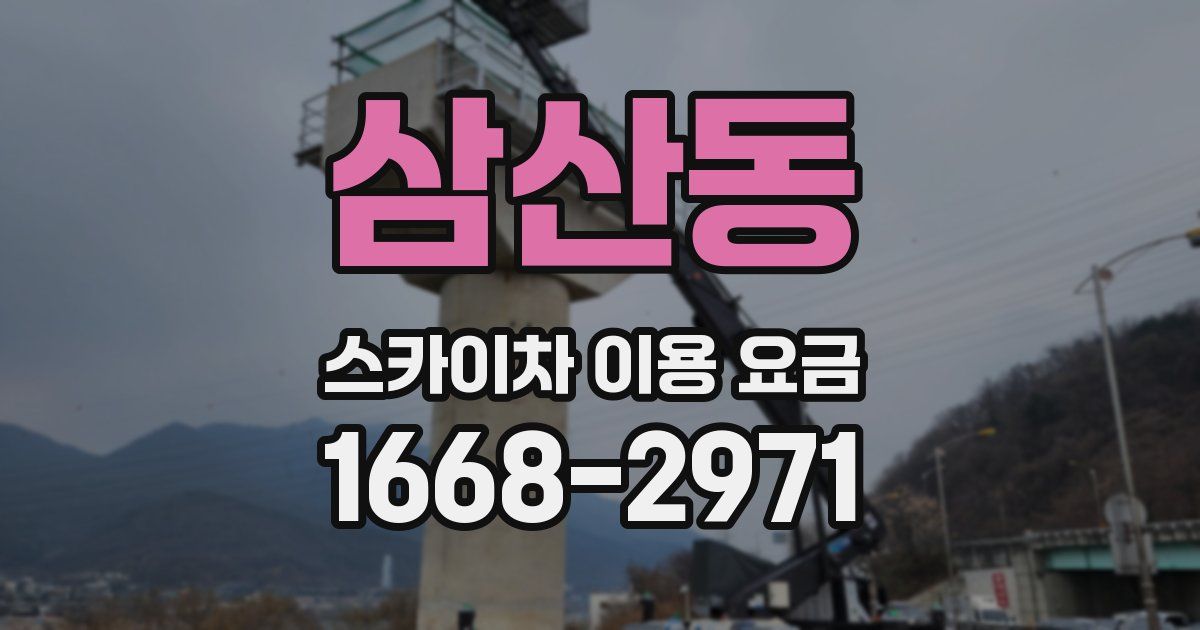 삼산동 스카이차 이용 요금