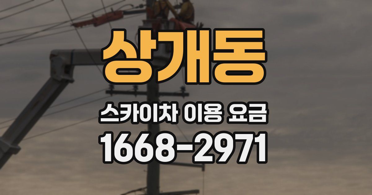 상개동 스카이차 이용 요금