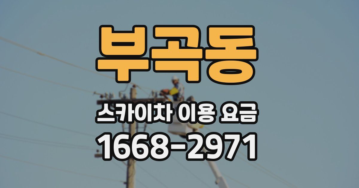 부곡동 스카이차 이용 요금