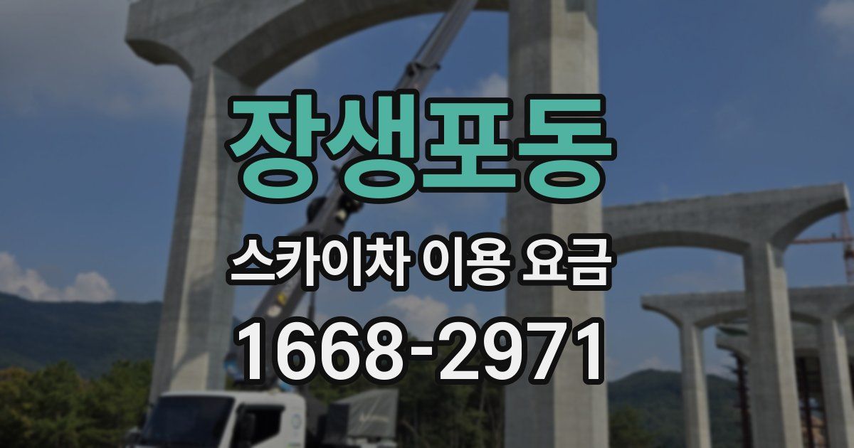 장생포동 스카이차 이용 요금