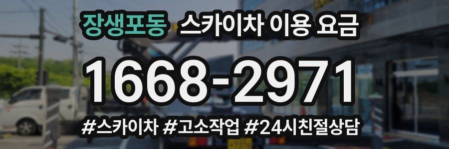장생포동 스카이차 이용 요금