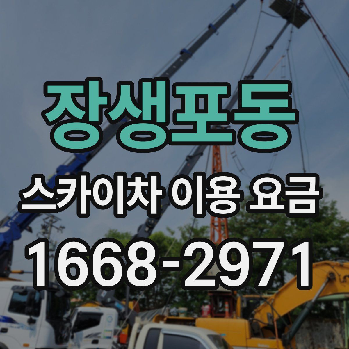 장생포동 스카이차 이용 요금