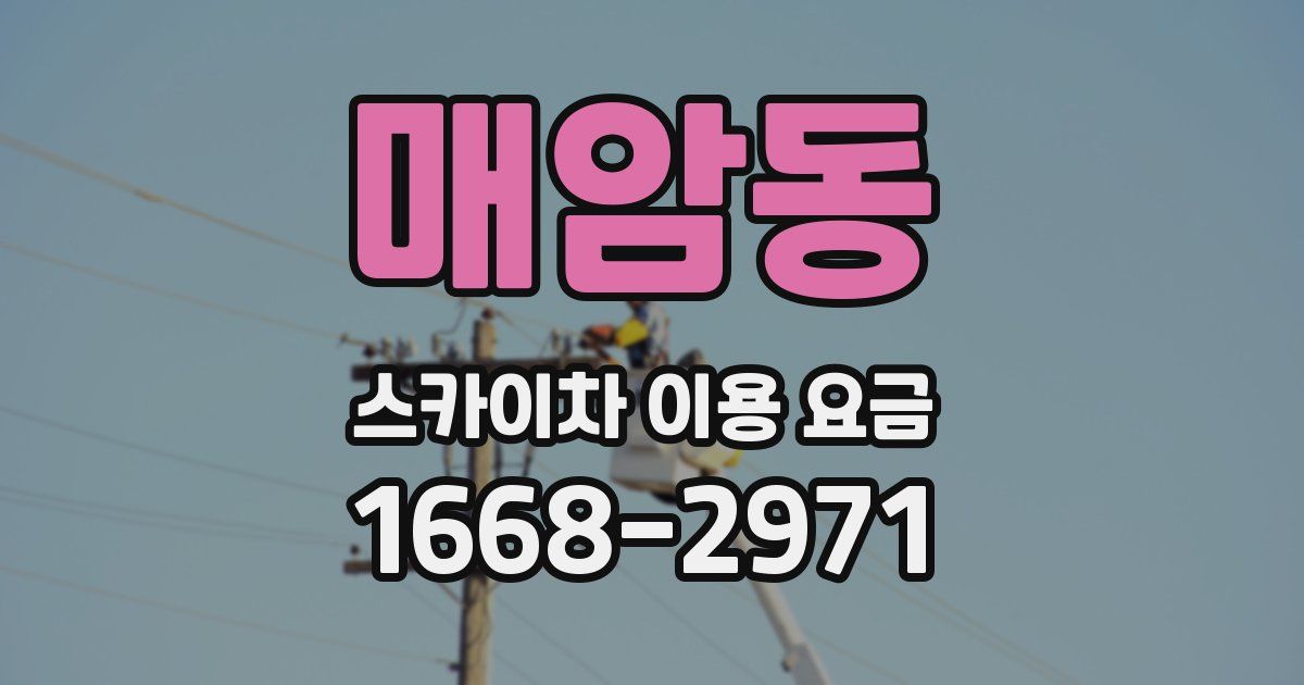 매암동 스카이차 이용 요금