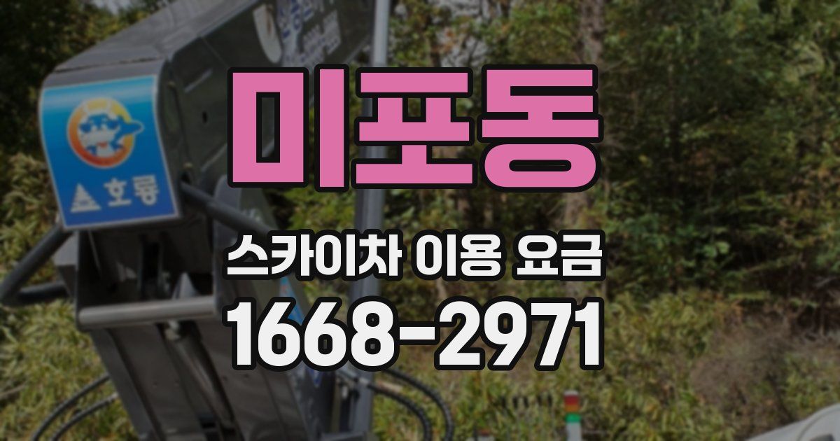 미포동 스카이차 이용 요금