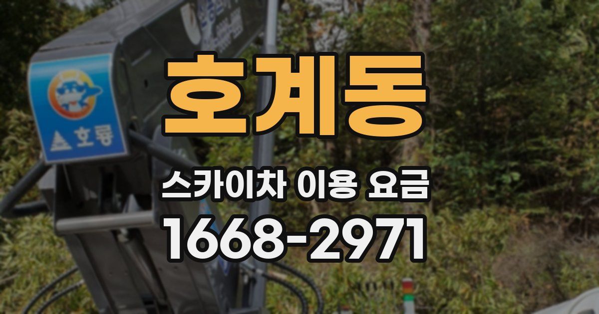 호계동 스카이차 이용 요금