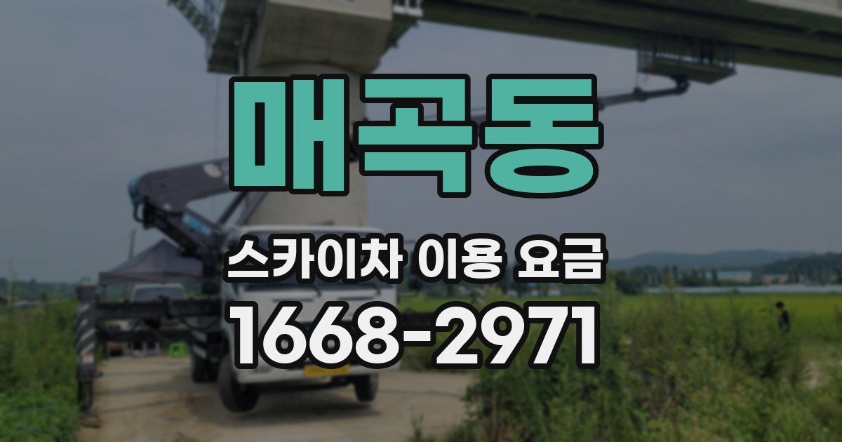 매곡동 스카이차 이용 요금