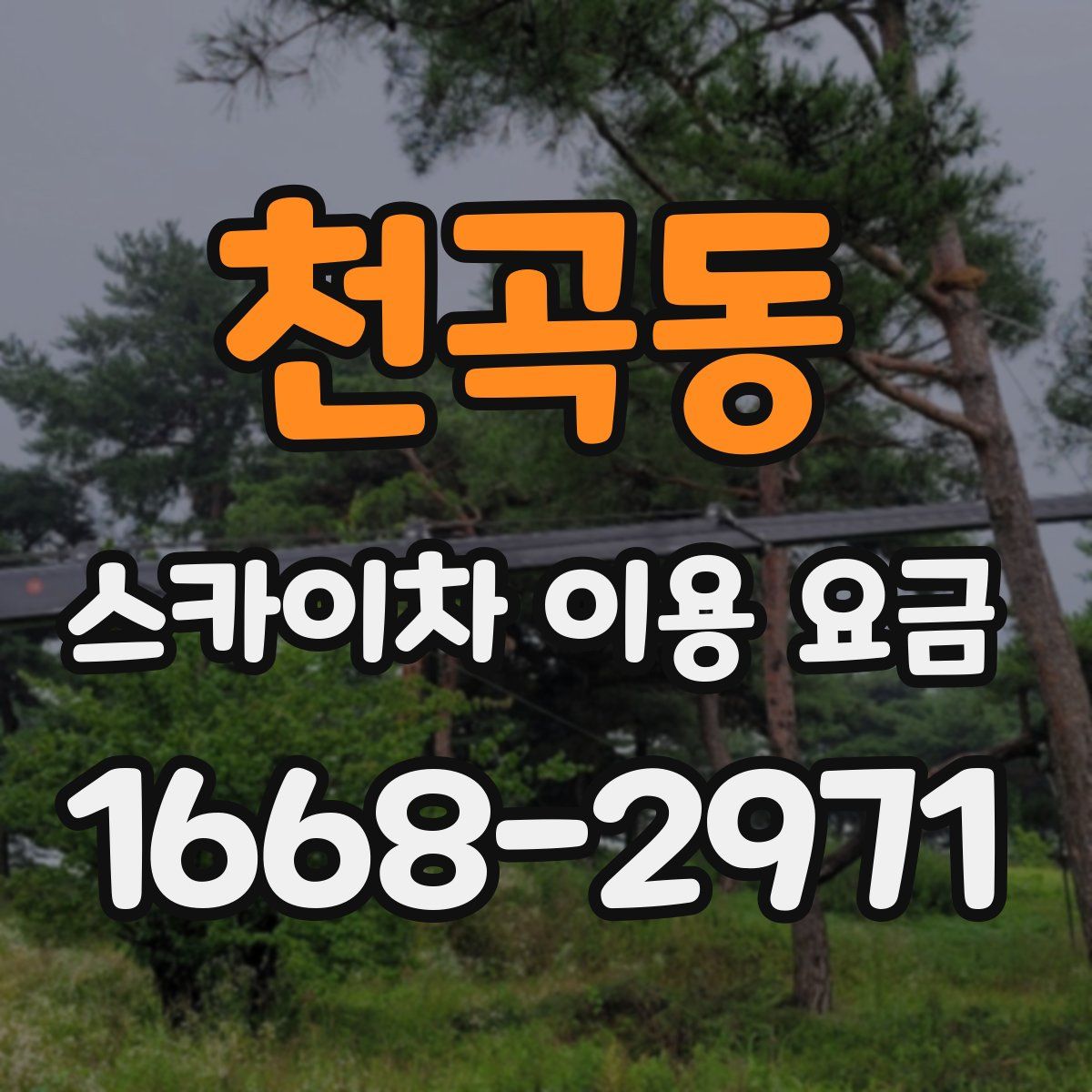천곡동 스카이차 이용 요금
