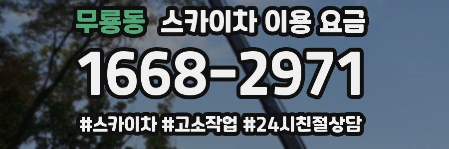 무룡동 스카이차 이용 요금