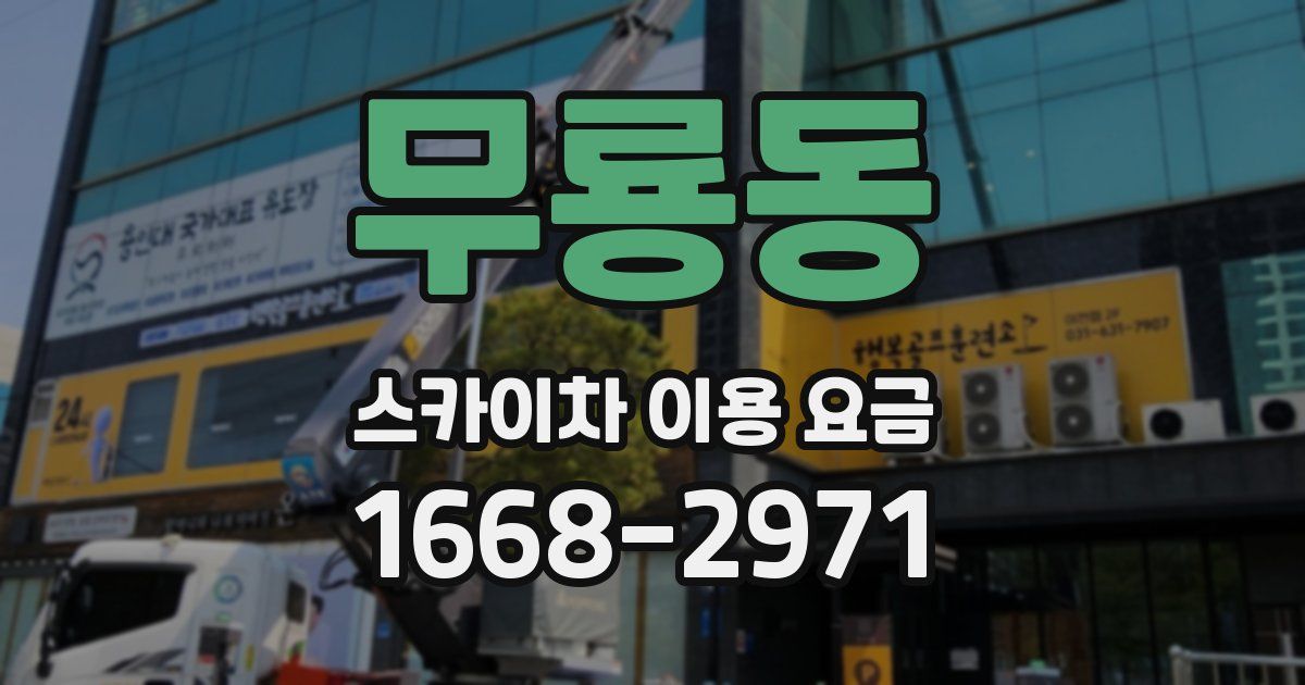 무룡동 스카이차 이용 요금