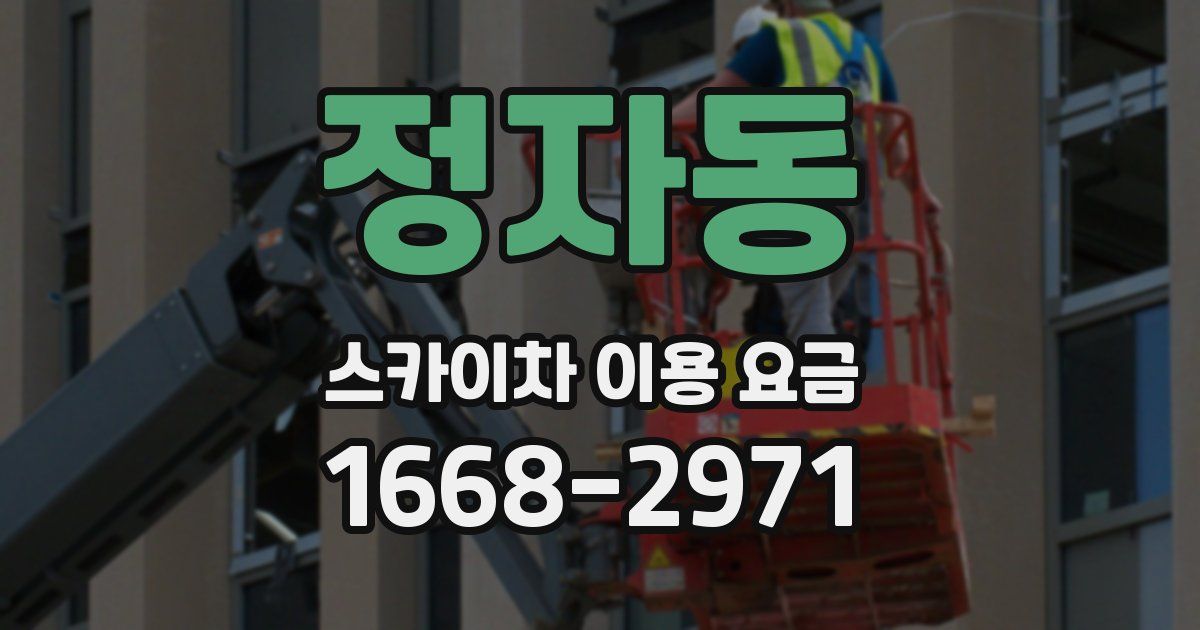 정자동 스카이차 이용 요금